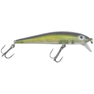 BAY RAT SS SERIES STICK BAITS: RIDIN DIRTY