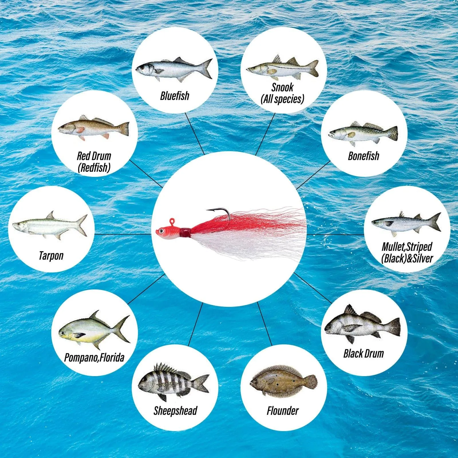 Dr.Fish 269pcs Surf Fishing Tackles Kit