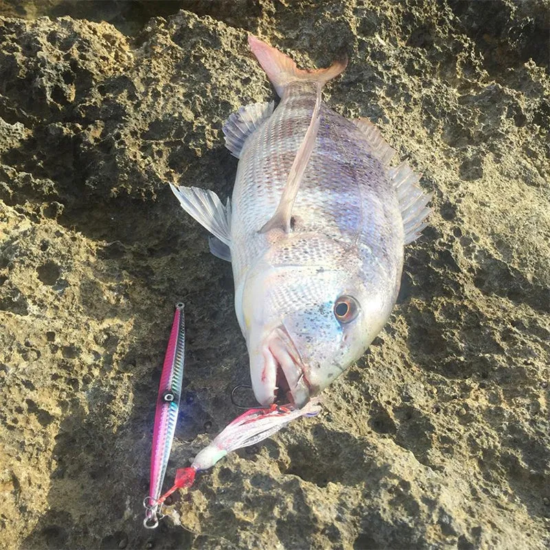 Rubber Squid Octopus Soft Bait Fishing Lures Variety Colors