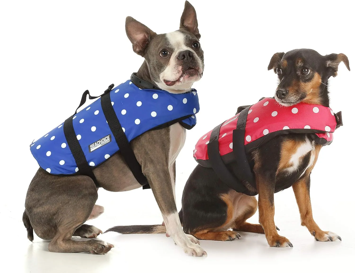 Seachoice Dog Life Vest, Adjustable Life Jacket for Dogs, w/Grab Handle, Blue Polka Dot, Size XXS, Up to 6 Lbs.