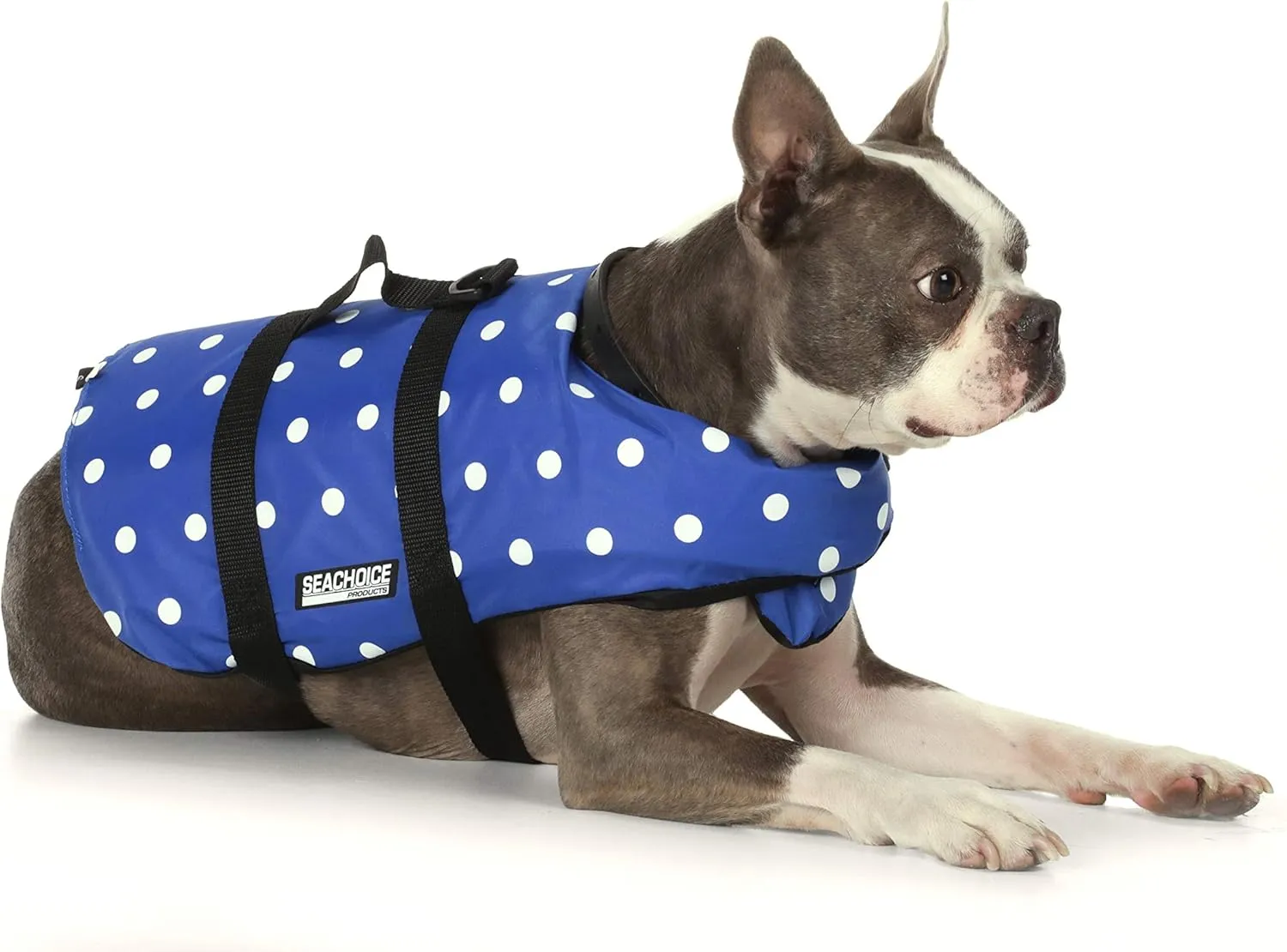 Seachoice Dog Life Vest, Adjustable Life Jacket for Dogs, w/Grab Handle, Blue Polka Dot, Size XXS, Up to 6 Lbs.