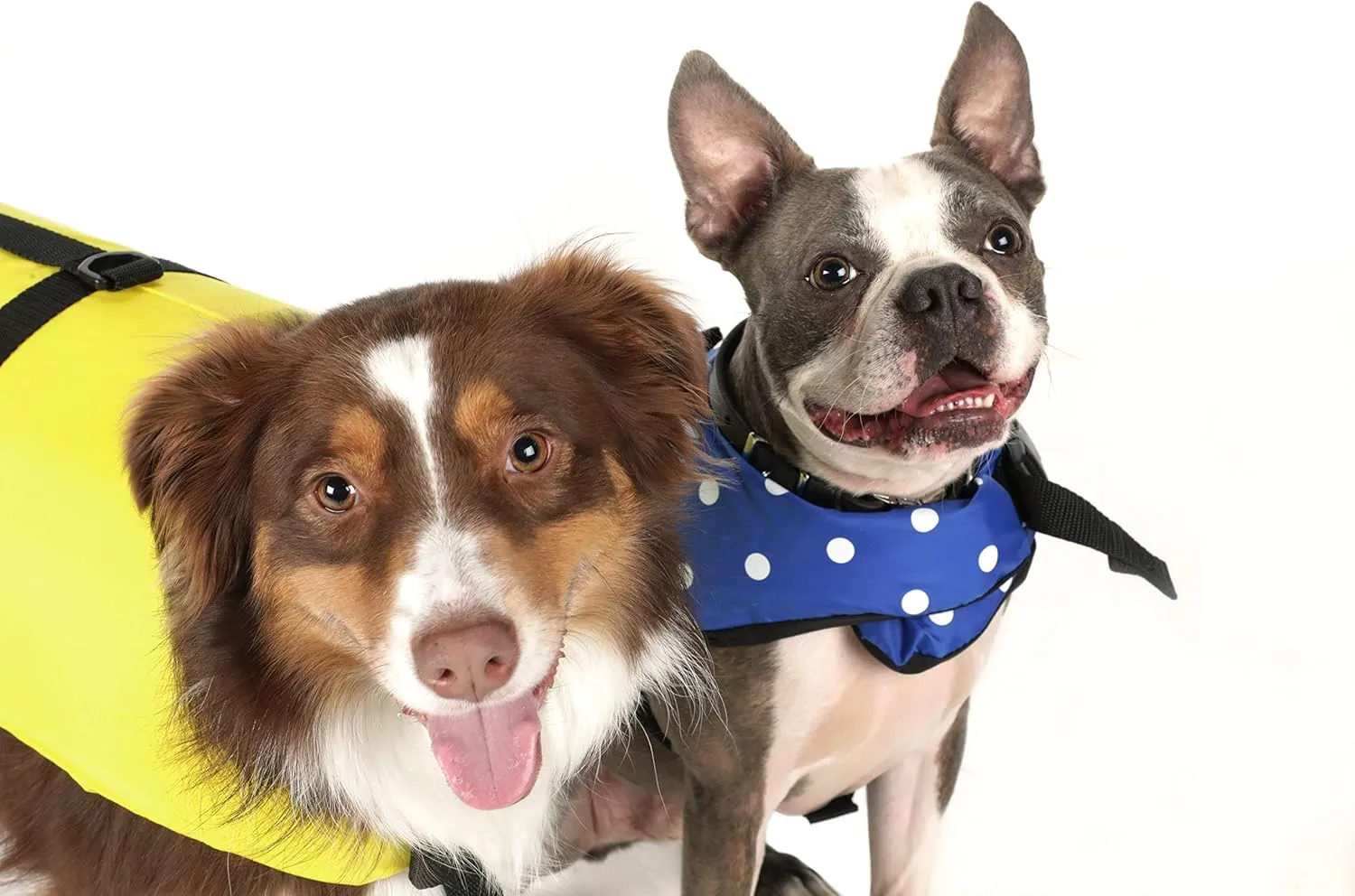 Seachoice Dog Life Vest, Adjustable Life Jacket for Dogs, w/Grab Handle, Blue Polka Dot, Size XXS, Up to 6 Lbs.