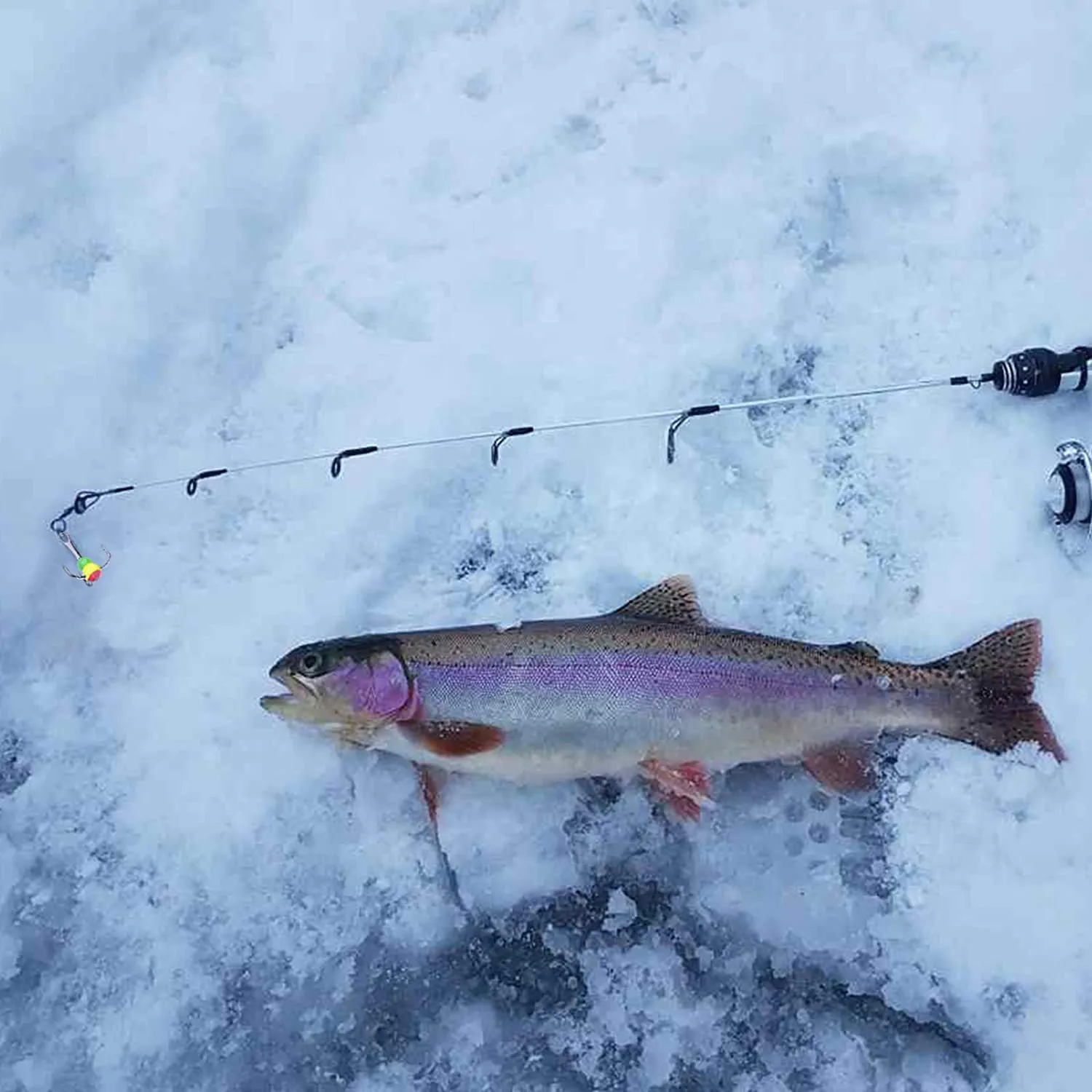 Ultimate Glow-in-the-Dark Ice Fishing Jig Set - Perfect for Panfish Adventure!
