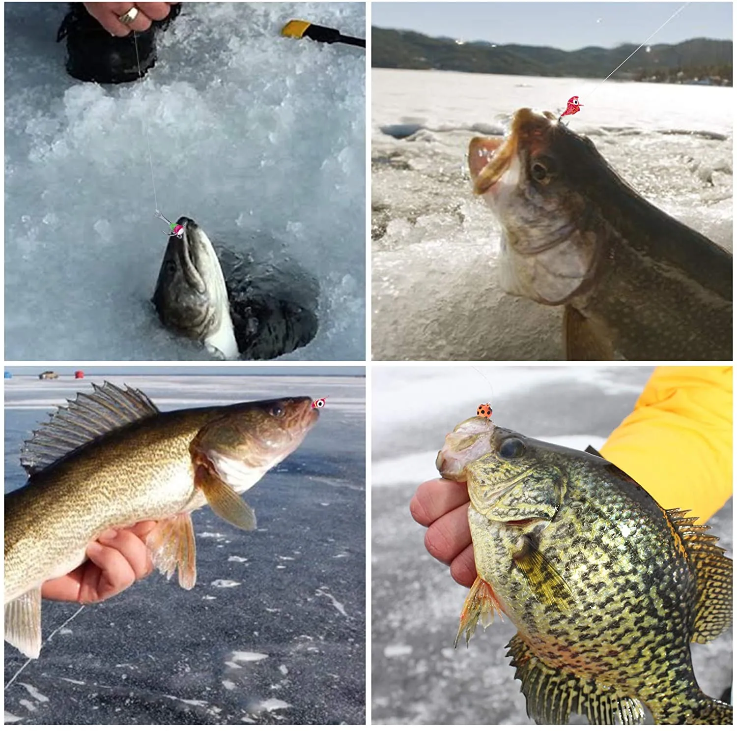 Ultimate Glow-in-the-Dark Ice Fishing Jig Set - Perfect for Panfish Adventure!